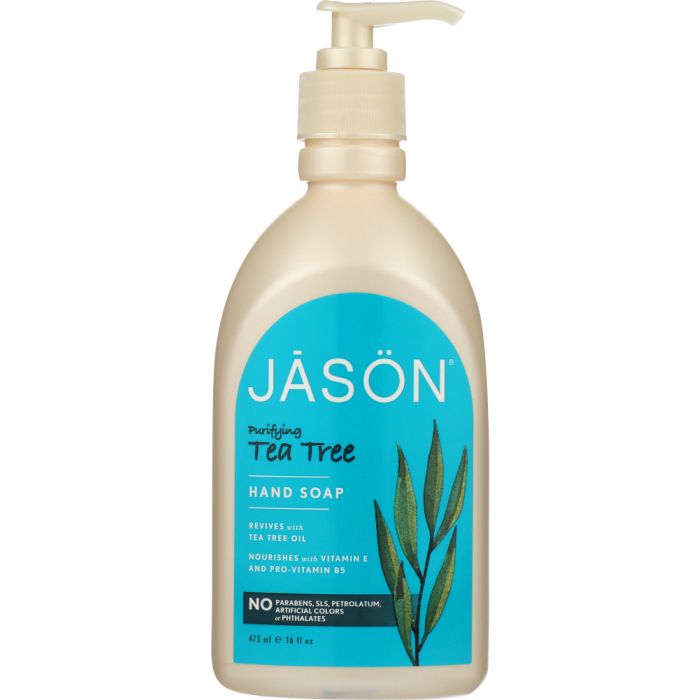 A Product Photo of Jason Purifying Tea Tree Hand Soap