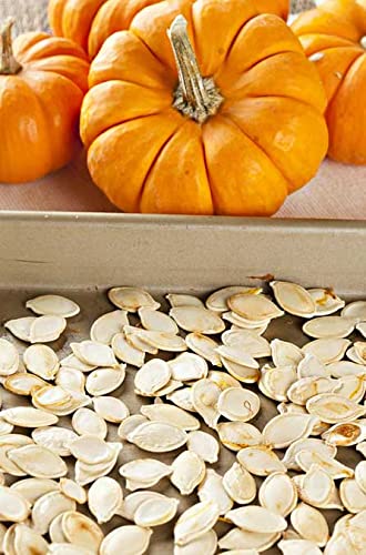 Bigs Simply Salted Flavored Home Style Roasted Pumpkin Seeds Bag (Two-5oz) & BELLATAVO Recipe Card